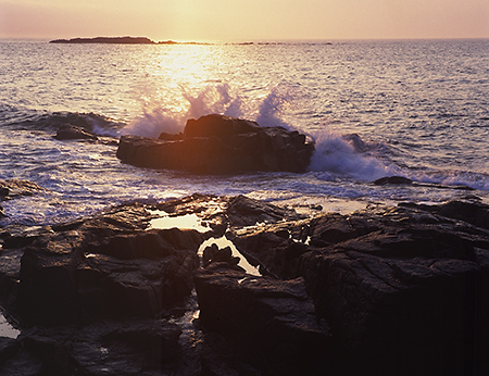 Crashing Sunlit Wave, Acadia National Park, Maine